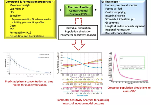 【建模文章解讀】利用PBPK模型評估制劑因素對美托洛爾緩釋片的BE影響
