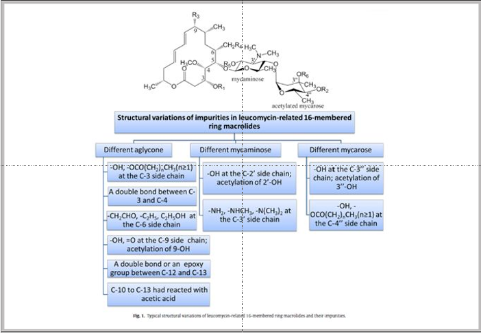 【建模文章解讀】采用液質(zhì)聯(lián)用技術(shù)鑒定大環(huán)內(nèi)酯類抗生素的雜質(zhì)以及構(gòu)建QSRR模型預(yù)測雜質(zhì)的保留時(shí)間