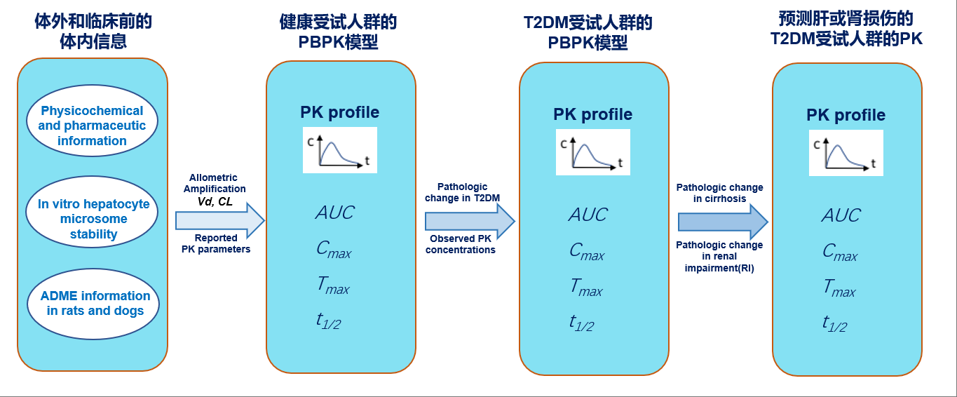 文章推薦 | 基于PBPK 模型預(yù)測加格列凈在伴有肝硬化或腎損害的Ⅱ型糖尿病患者中的藥動學(xué)特征