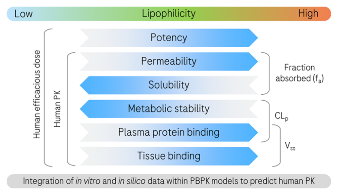 建模文章解讀 | 將預(yù)測或?qū)崪y數(shù)據(jù)整合到PBPK模型中，能否準(zhǔn)確預(yù)測高脂溶化合物的臨床PK？