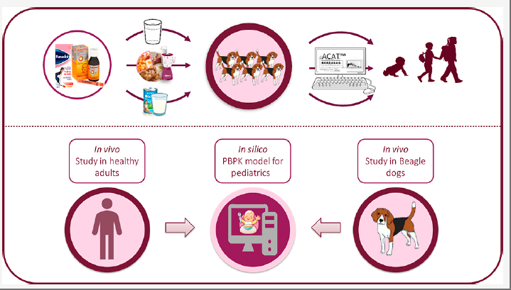 建模文章解讀 | 考察比格犬PBPK模型評估撲熱息痛和布洛芬口服給藥后在兒科人群體內(nèi)暴露的適用性